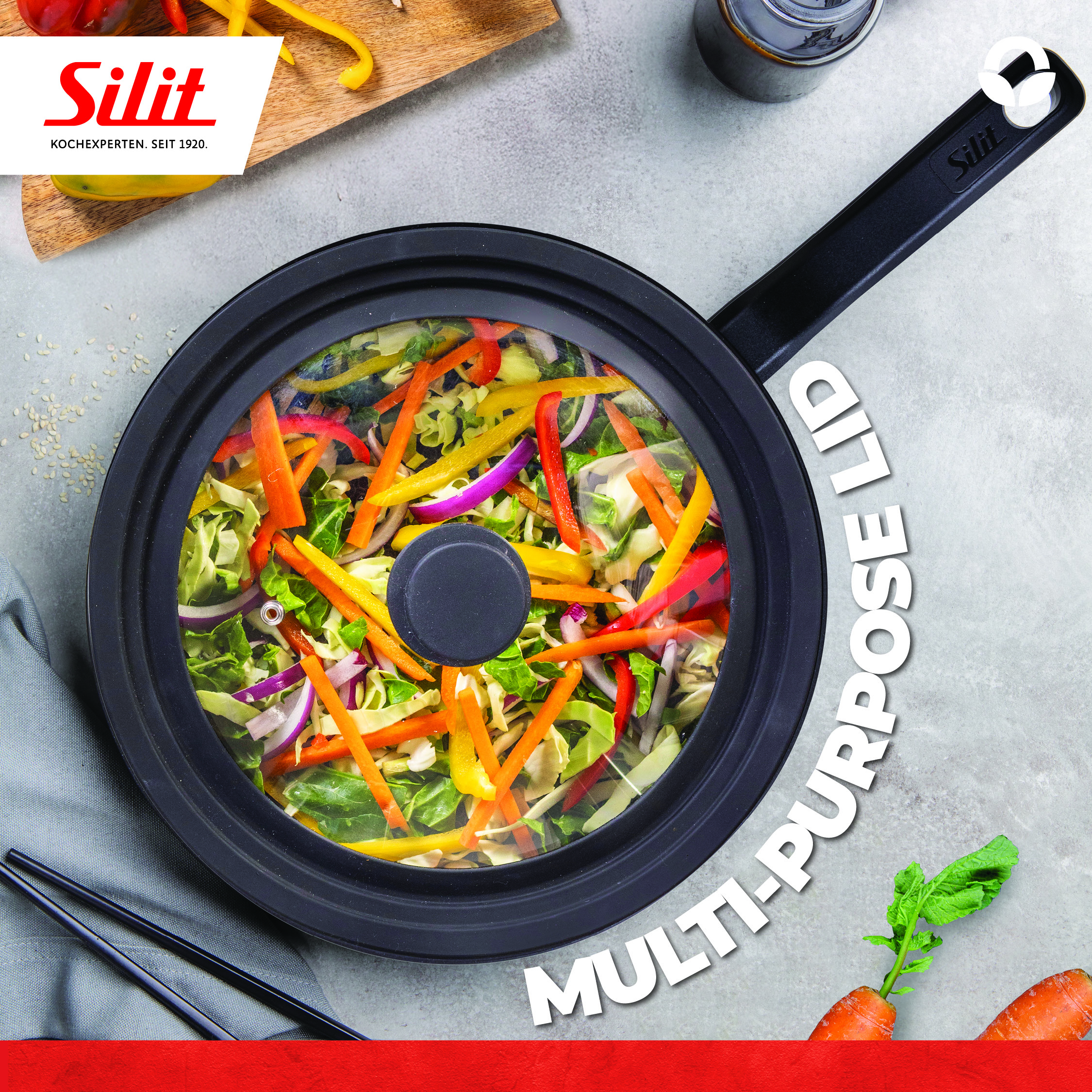 FV7870_Silit Product Images_1080X1080_ 06.087